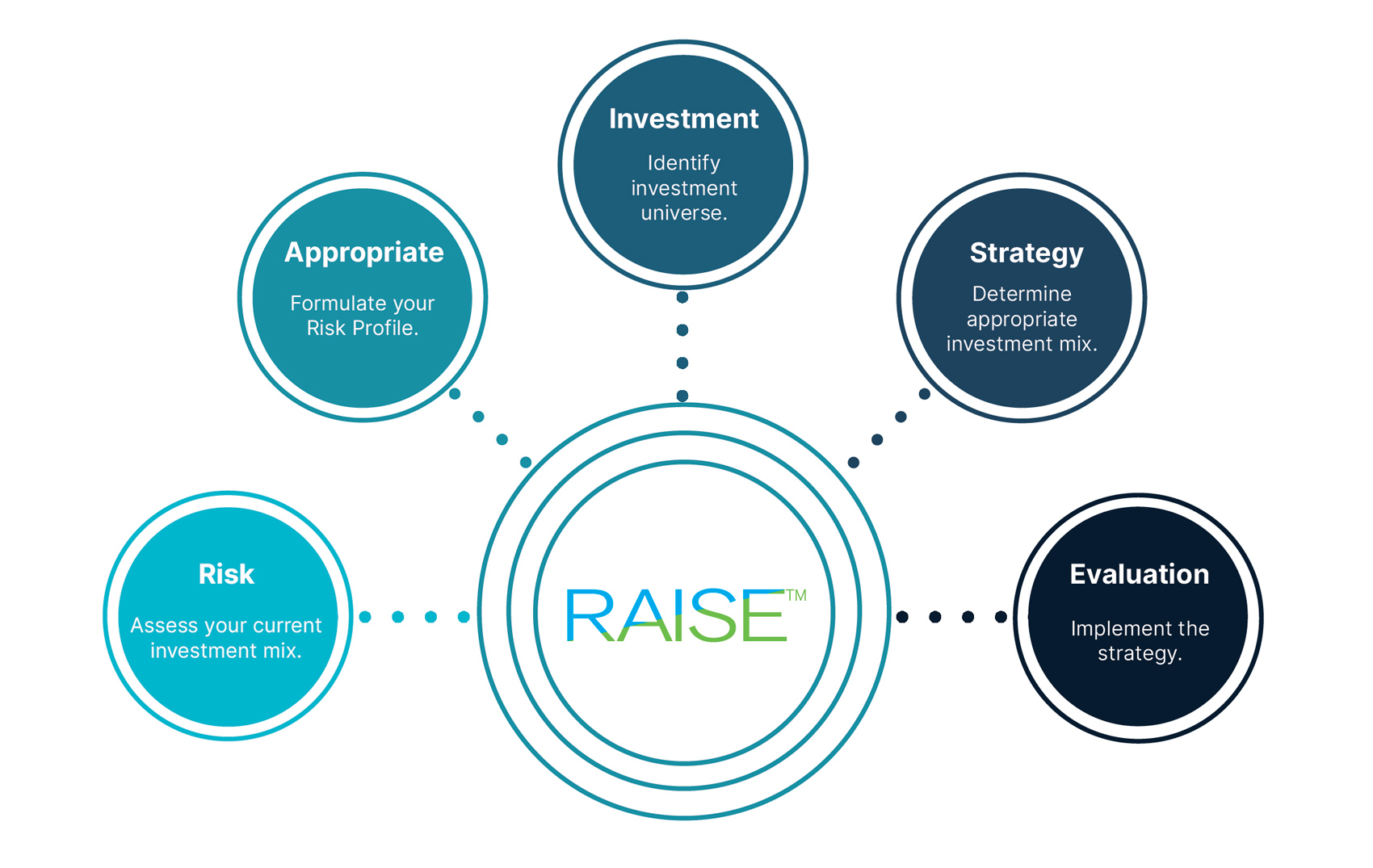 RAISE portfolio, Risk Appropriate Investment Strategy Evaluation